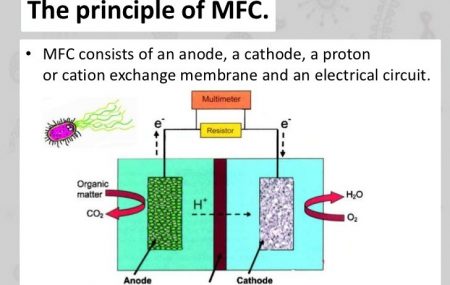 پیل های سوختی میکروبی چیست؟
تصفیه با استفاده از MFC